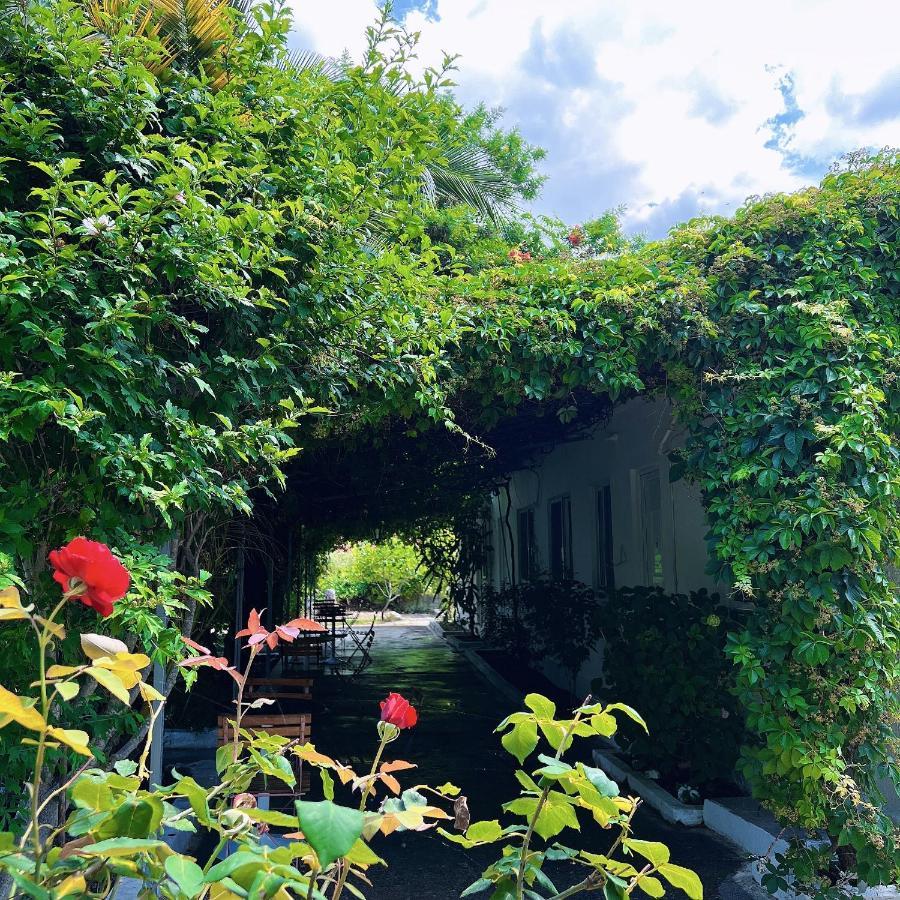 Garden Villa Naza Piqeras Dış mekan fotoğraf