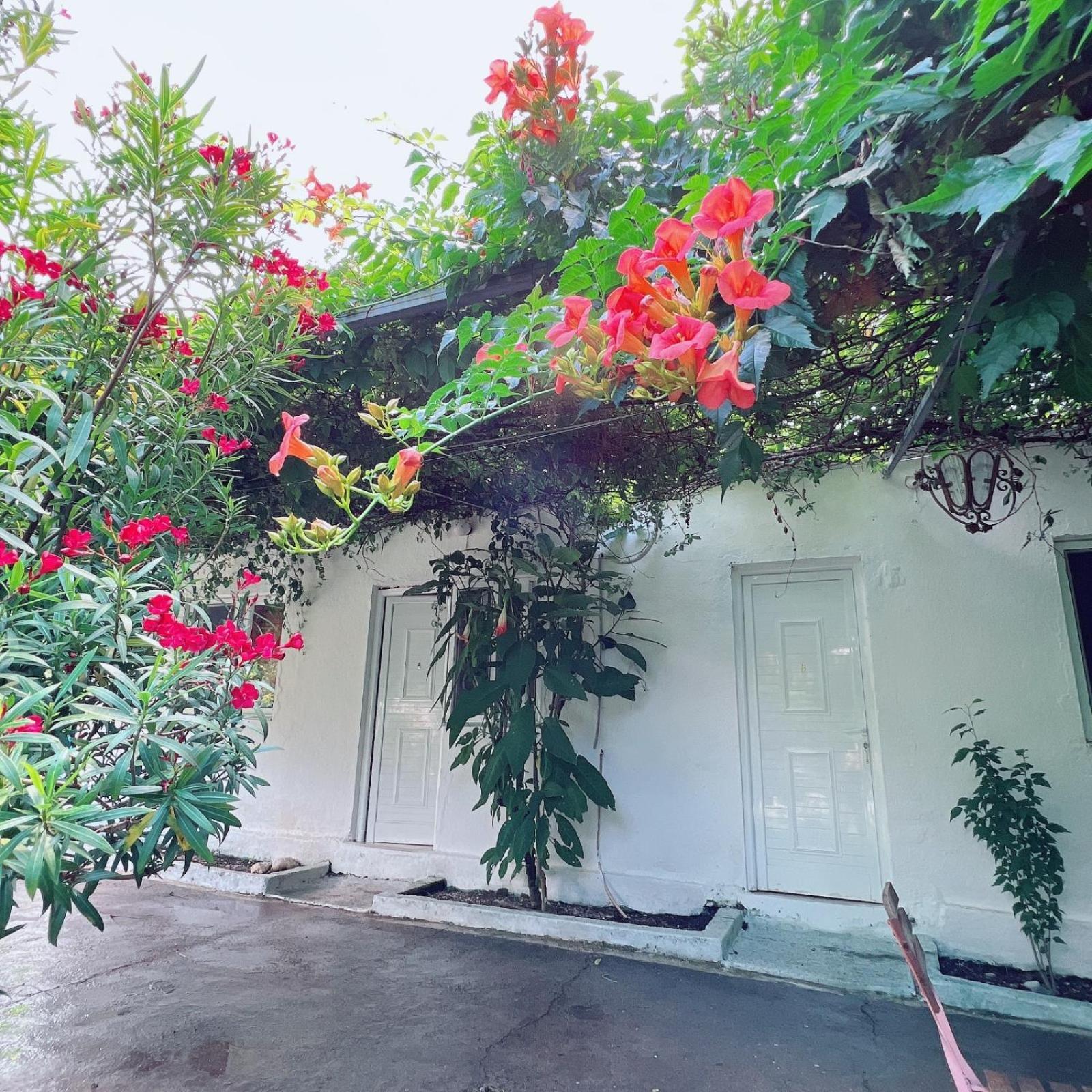 Garden Villa Naza Piqeras Dış mekan fotoğraf